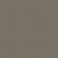 Tapeta z abstrakcyjnym organicznym wzorem Galerie DWP0363-05 Zen