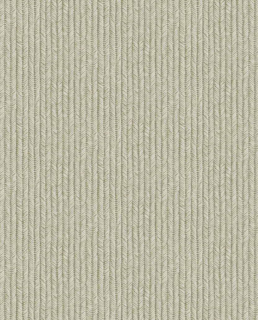 81ea5de0ca20e6a5bdb10a2e3f8e3edb