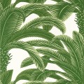 Tapeta liście palmy Thibaut T13907 Queen Palm Palm Grove