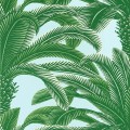 Tapeta liście palmy Thibaut T13908 Queen Palm Palm Grove