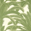Tapeta liście palmy Thibaut T13911 Queen Palm Palm Grove