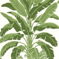 Tapeta bananowce Thibaut T13914 Banana Tree Palm Grove