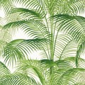 Tapeta liście palmy Thibaut T13938 Delray Palm Grove