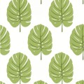 Tapeta liście monstery Thibaut T13955 Monstera Palm Grove
