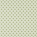 Tapeta kratownica Thibaut T13959 Charter Palm Grove