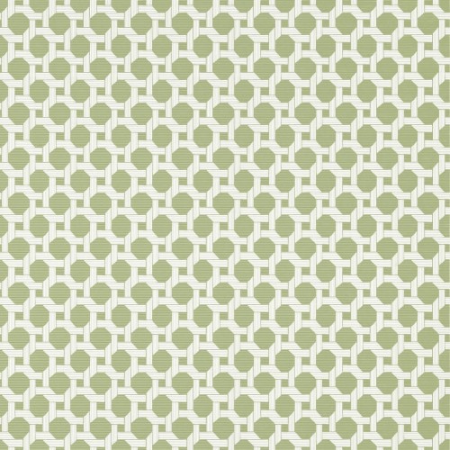 Tapeta kratownica Thibaut T13959 Charter Palm Grove