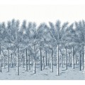 Mural krajobraz palm Thibaut TM13951 Palm Grove