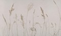 Fototapeta źdźbła owsa Wall Art Campo Di Avena