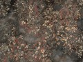 Fototapeta gałęzie i liście Wallcraft Grisali 1065 31 2501