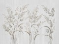 Fototapeta delikatne sylwetki traw Wallcraft Lurevia 1035 31 2501