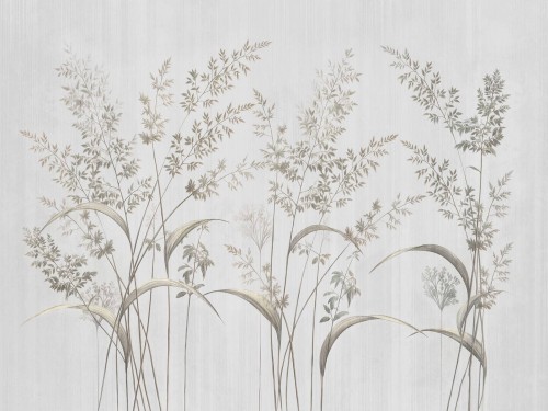 Fototapeta delikatne sylwetki traw Wallcraft Lurevia 1035 31 2501