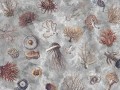 Fototapeta rafy koralowe i meduzy Wallcraft Oceana 1055 32 2501