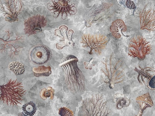 Fototapeta rafy koralowe i meduzy Wallcraft Oceana 1055 32 2501