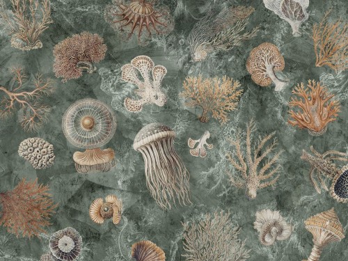 Fototapeta rafy koralowe i meduzy Wallcraft Oceana 1055 33 2501