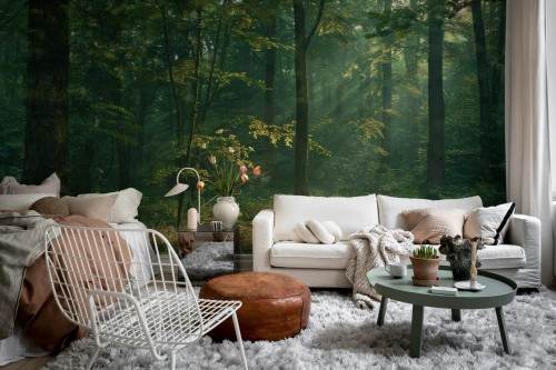 Fototapeta krajobraz lasu Rebel Walls R21362 Sunrise Forest Dawn Hot Pops