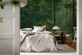 Fototapeta krajobraz lasu Rebel Walls R21362 Sunrise Forest Dawn Hot Pops