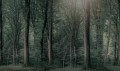 Fototapeta las Rebel Walls R21374 Whispering Woods Dark Hot Pops