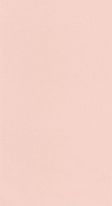 1 szt / 24H Tapeta lniane płótno Caselio LNE 103224076 Uni Mat Linen Edition