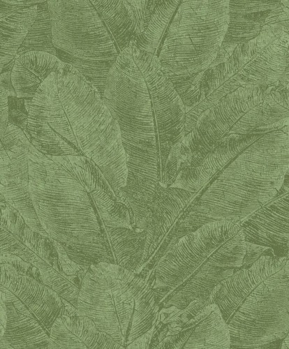 1 szt / 24H Tapeta bananowiec Khroma HAV302 Juan Havana