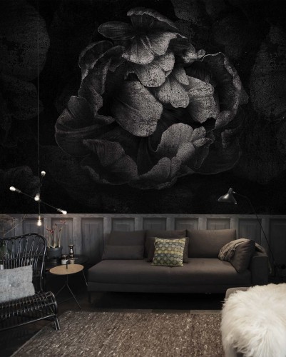 Fototapeta okazały kwiat Wonderwall Serseia 35074400