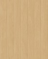 Tapeta imitująca drewniane deski Caselio WOD 106851002 Essentia Woodline