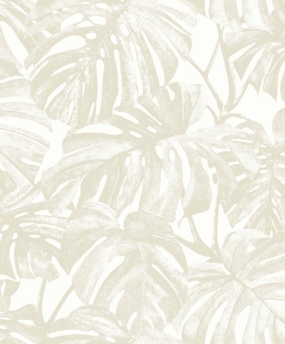 Tapeta liście monstery Casadeco RIOC 201791410 Mata Rio