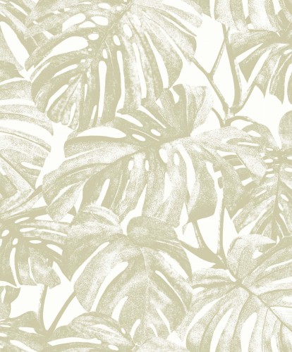Tapeta liście monstery Casadeco RIOC 201797254 Mata Rio