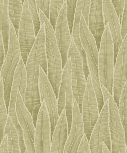 Tapeta liście sansewierii Casadeco RIOC 201837260 Sansevieria Rio