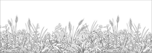 Border szkic natury Caselio KBO 106960936 Floral Shades Kitchen Box