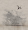 Fototapeta żuraw w przestworzach Wall & Deco WET_LE1902 Learn to fly WET SYSTEM 2019