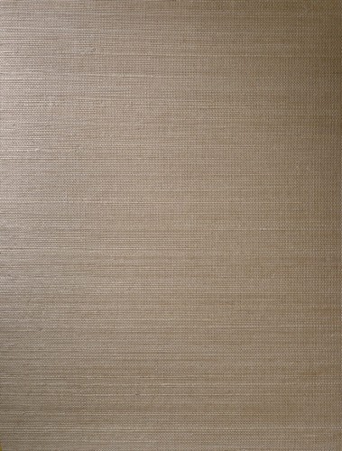 Tapeta naturalna sizalowa Arte Line 72752A All Naturals