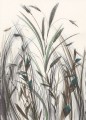 Fototapeta z motywem traw Wall&Deco WET_AD2502 Arundo WET SYSTEM 2025