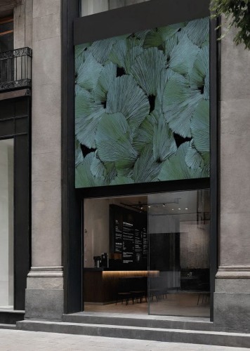 Fototapeta liście ginkgo Wall&Deco OUT_EB2501 OUT Systen 2025