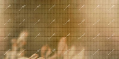 Fototapeta z delikatnym wzorem Inkiostro Bianco ARMONIA INKISSU2504 Flamenco