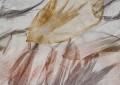 Fototapeta artystyczne liście Inkiostro Bianco CROCUS INKNAPC2501 Flamenco