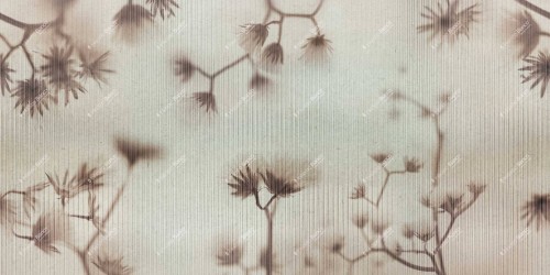 Fototapeta z cieniem roślin Inkiostro Bianco POLIONDA INKOLAI2503 Flamenco