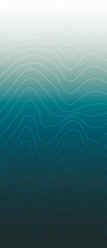 Mural tekstylny z efektem mory cieniowany Elitis RM1027 01 Voyage sur un nuage Moire