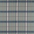 Tkanina w kratę bawełniana Morris & Co. X The Huntington Hanover Check 237698 The Unfinished Works Stripes