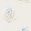 Tapeta w kwiaty protei Sanderson 216327 Protea Flower Curios