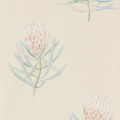 Tapeta w kwiaty protei Sanderson 216329 Protea Flower Curios