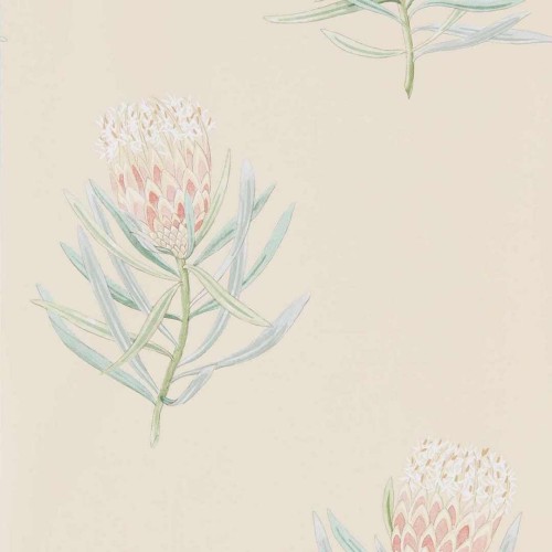 Tapeta w kwiaty protei Sanderson 216329 Protea Flower Curios