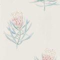 Tapeta w kwiaty protei Sanderson 216330 Protea Flower Curios