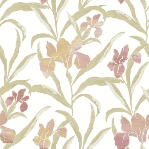 Tapeta kwiaty irysa Cristiana Masi 2021 Rio