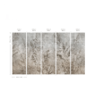 Mural delikatne suche trawy Dry Grass Grey Wallcolors