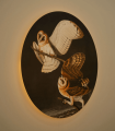 Lampa ścienna / kinkiet DOTS. Lighting Owls Wallcolors