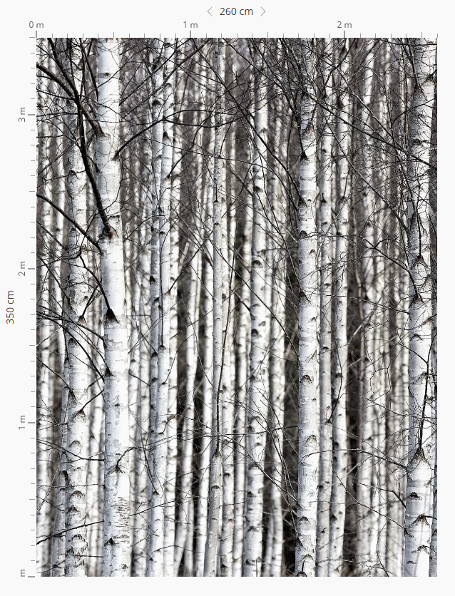 image001.png