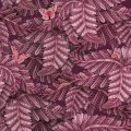 Tapeta liście akacji Cole & Son x Ardmore Acacia Canopy 129/4016 Baobab