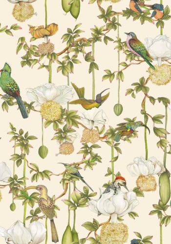 Tapeta botaniczna - kwiaty i ptaki Cole & Son x Ardmore Baobab Botanica 129/2004 Baobab