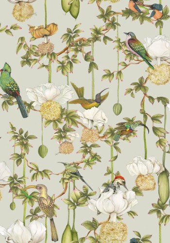 Tapeta botaniczna - kwiaty i ptaki Cole & Son x Ardmore Baobab Botanica 129/2006 Baobab
