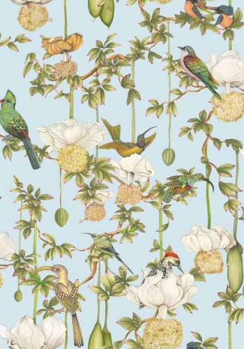 Tapeta botaniczna - kwiaty i ptaki Cole & Son x Ardmore Baobab Botanica 129/2007 Baobab
